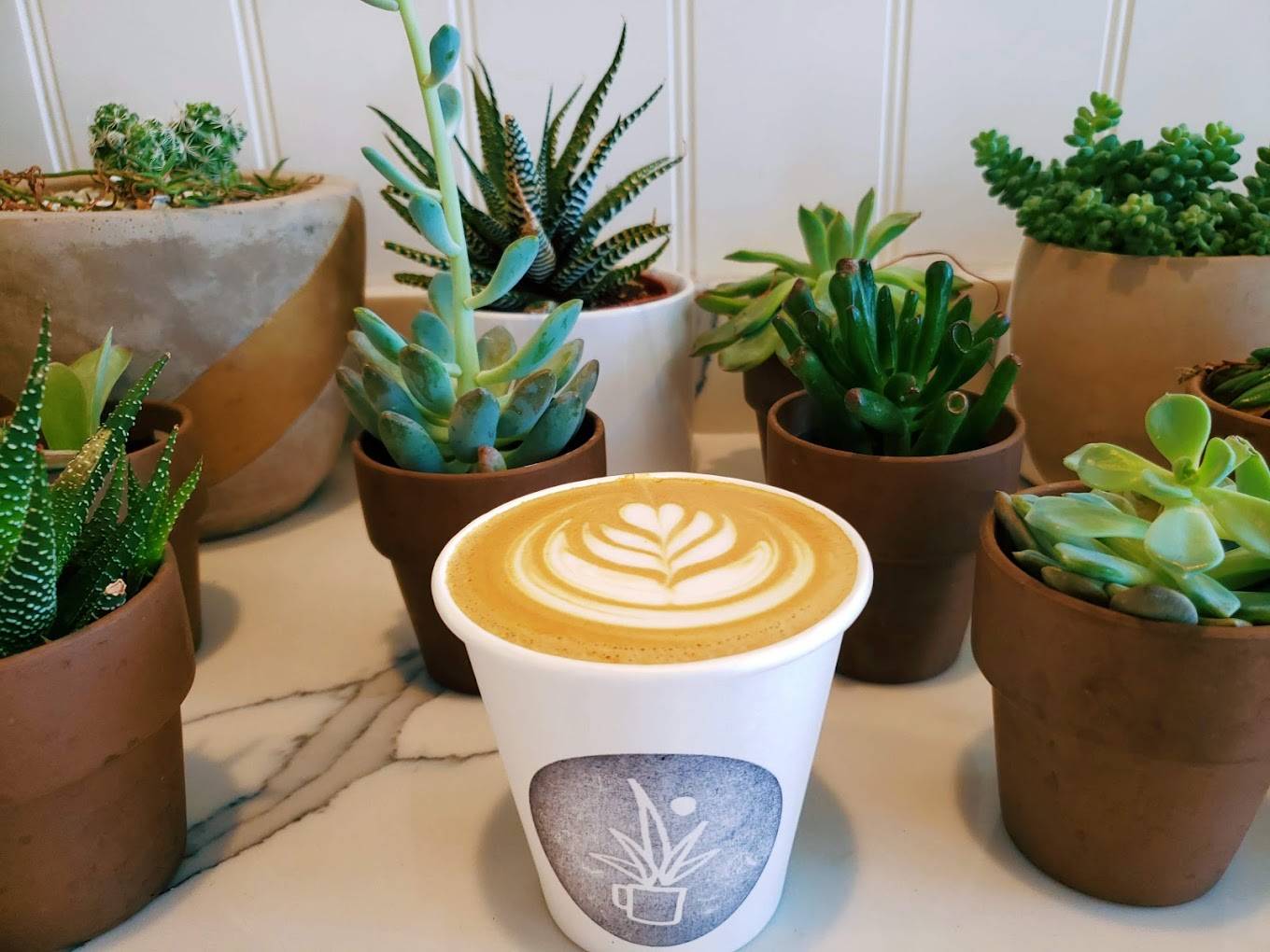 Help people drink delicious coffee that they can feel good about