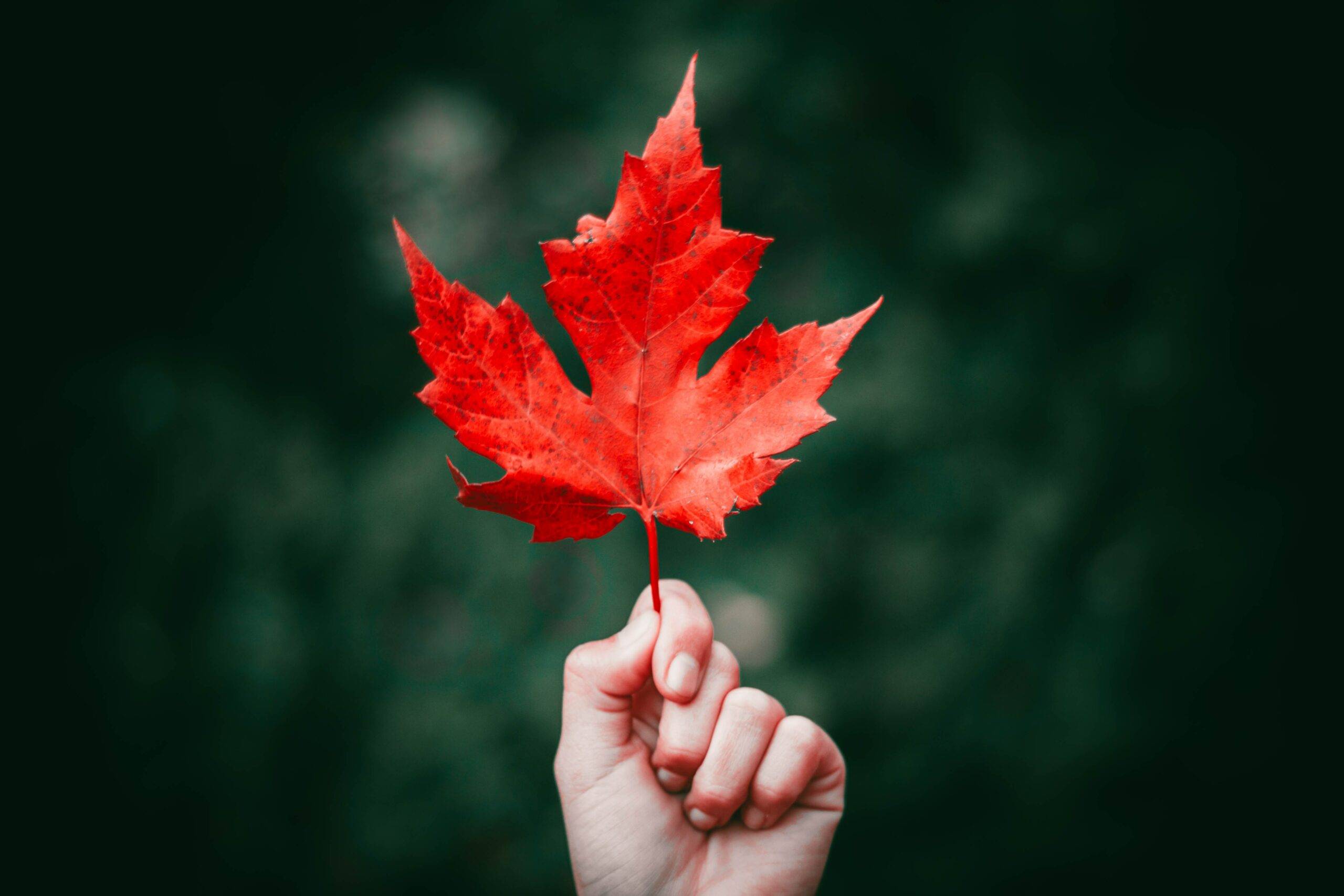 nong L0cbdz6 eYU unsplash scaled