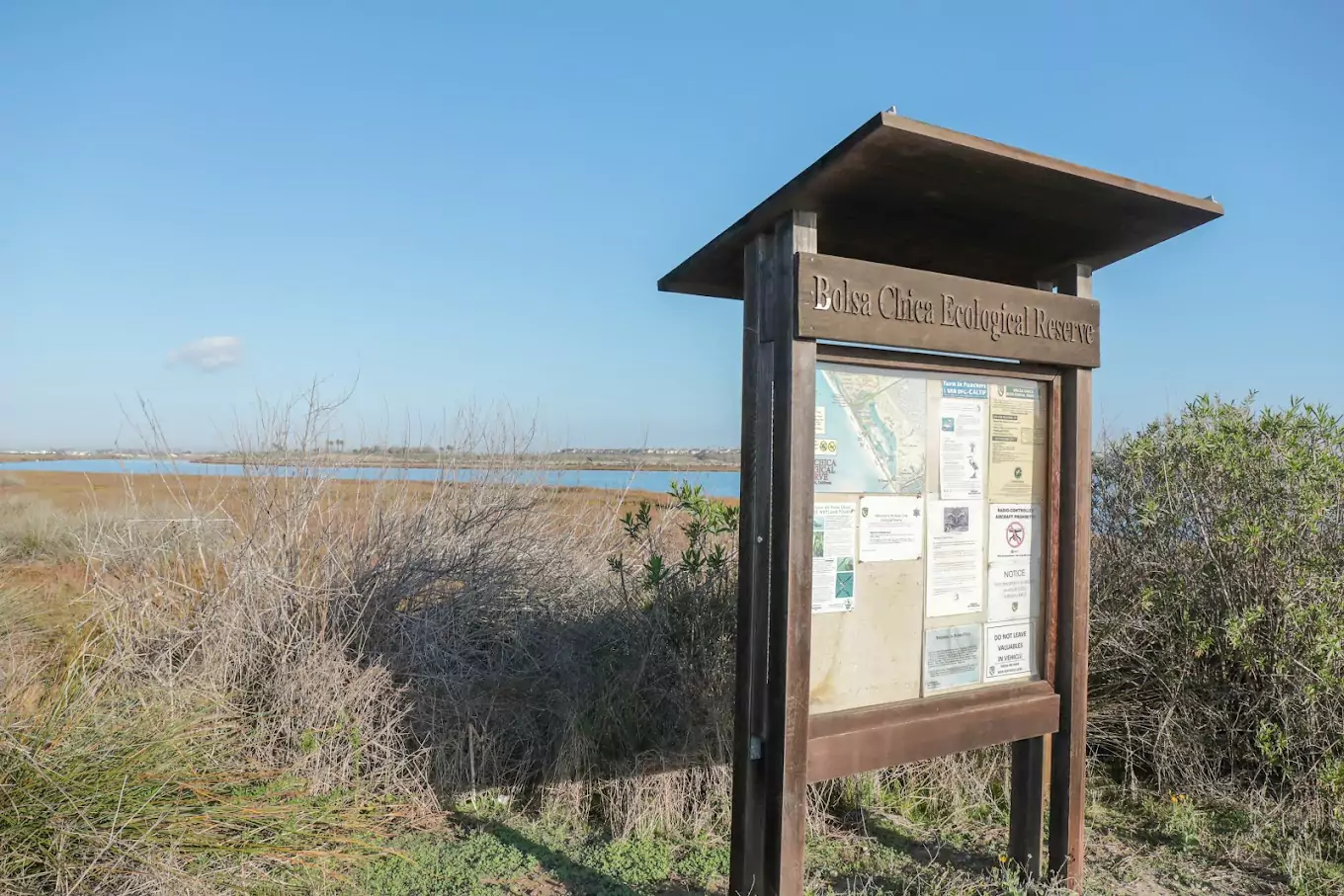 bolsa chica ecological reserve featured image