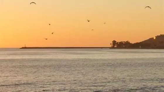 sunset views overlooking the ocean with seagulls flying at capistrano beach park