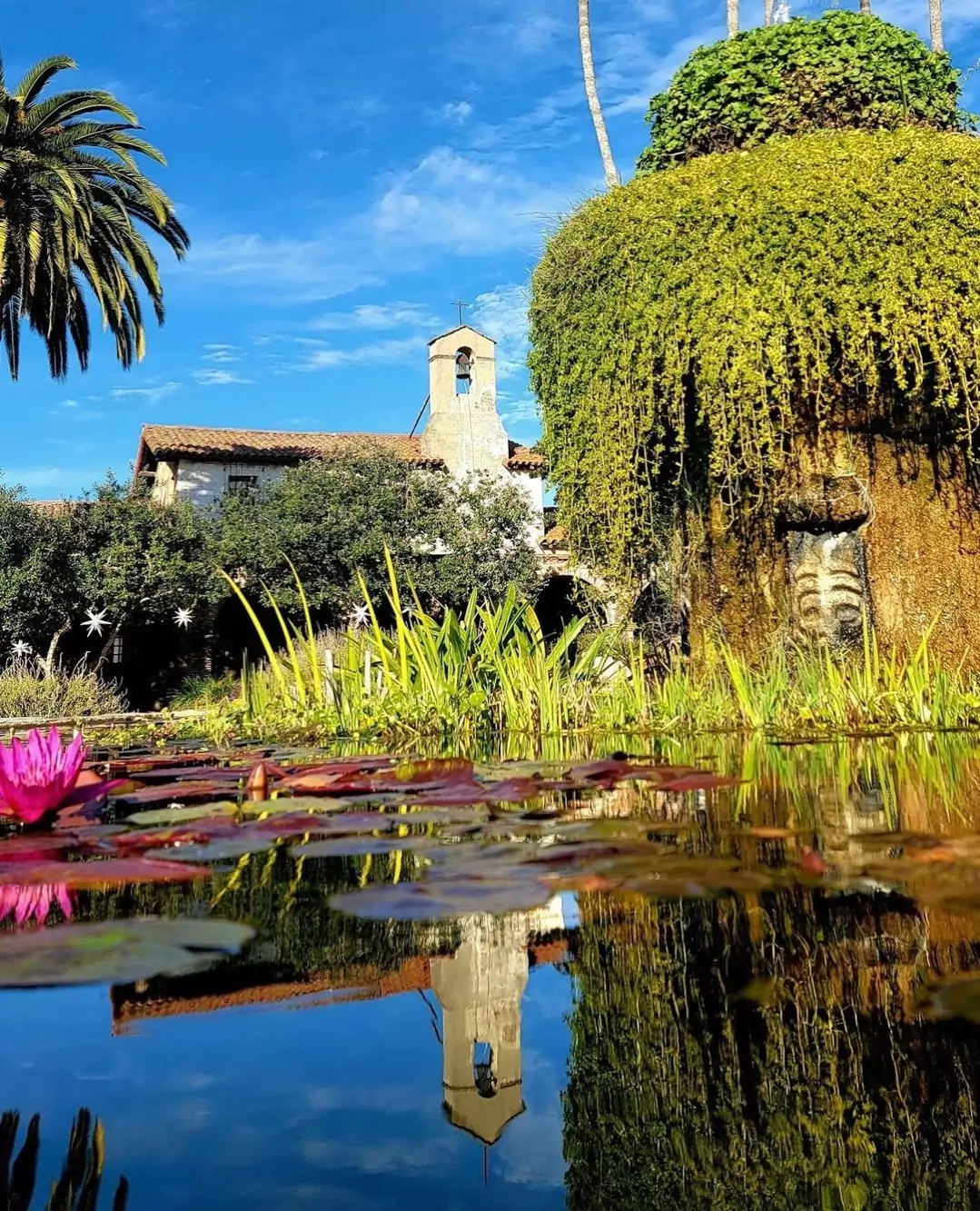 view of mission san juan capistrano reflected in a lake with lily pads and greenery
