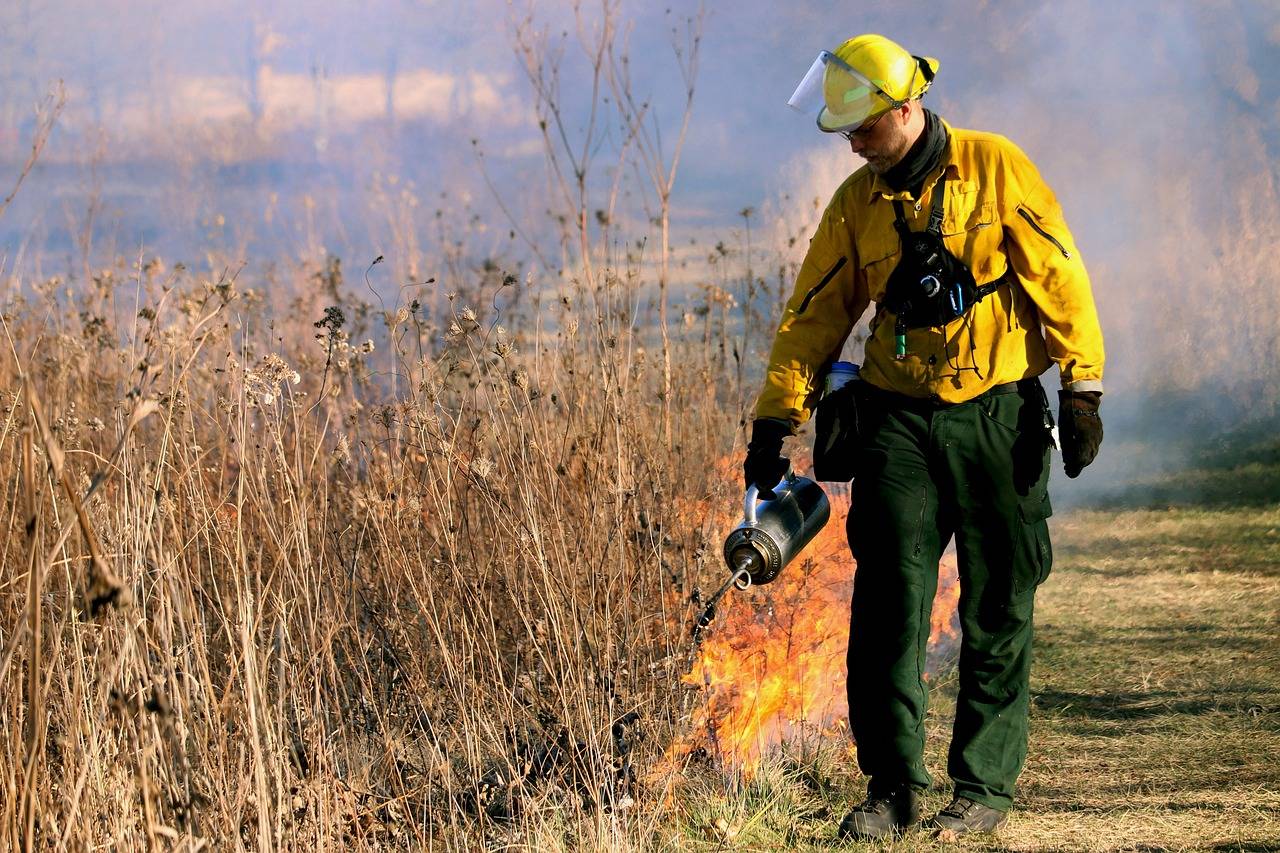 firefighter 5856332 1280
