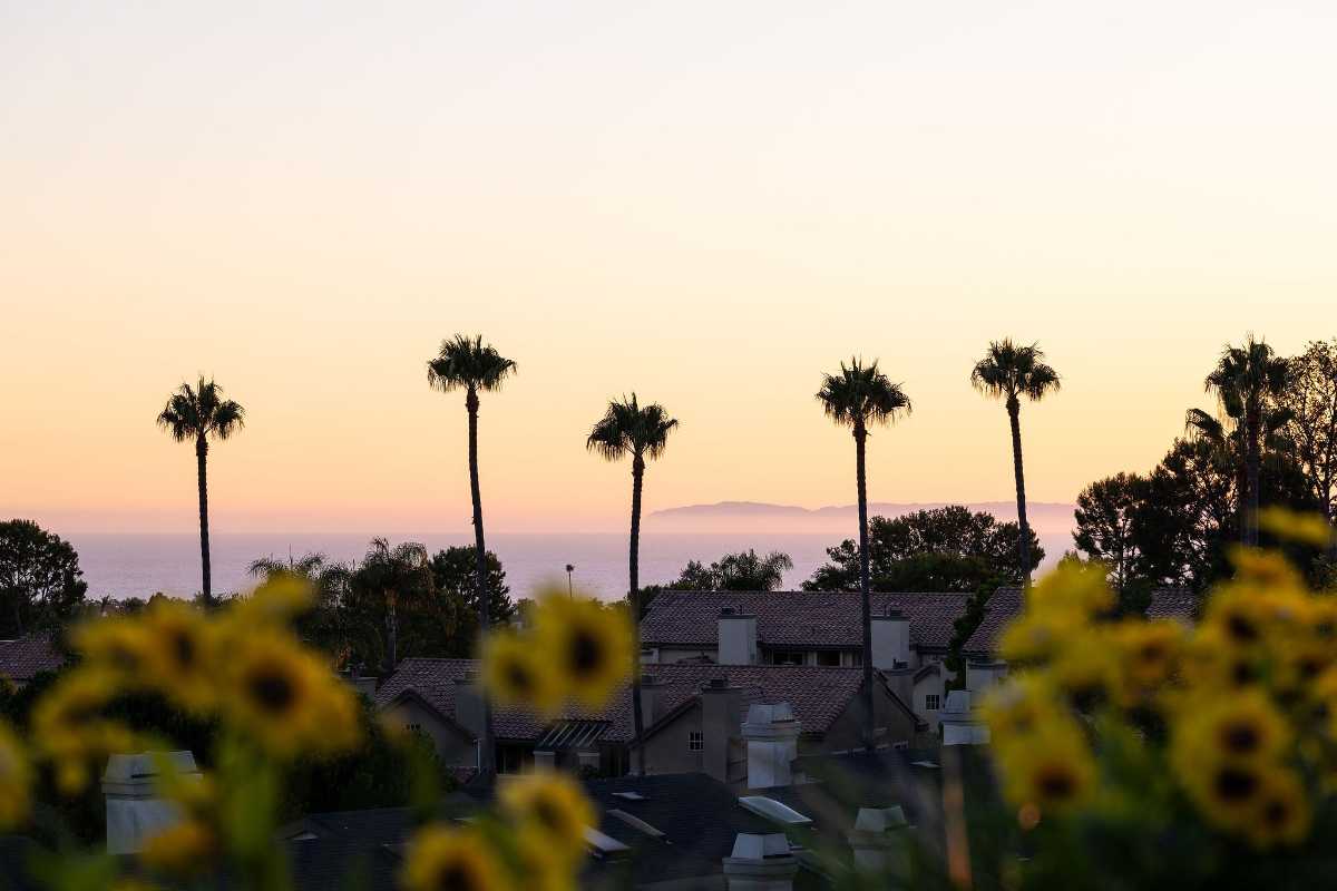 Brad Feldman Group Top Dana Point Realtor 46 Terra Vista web 21