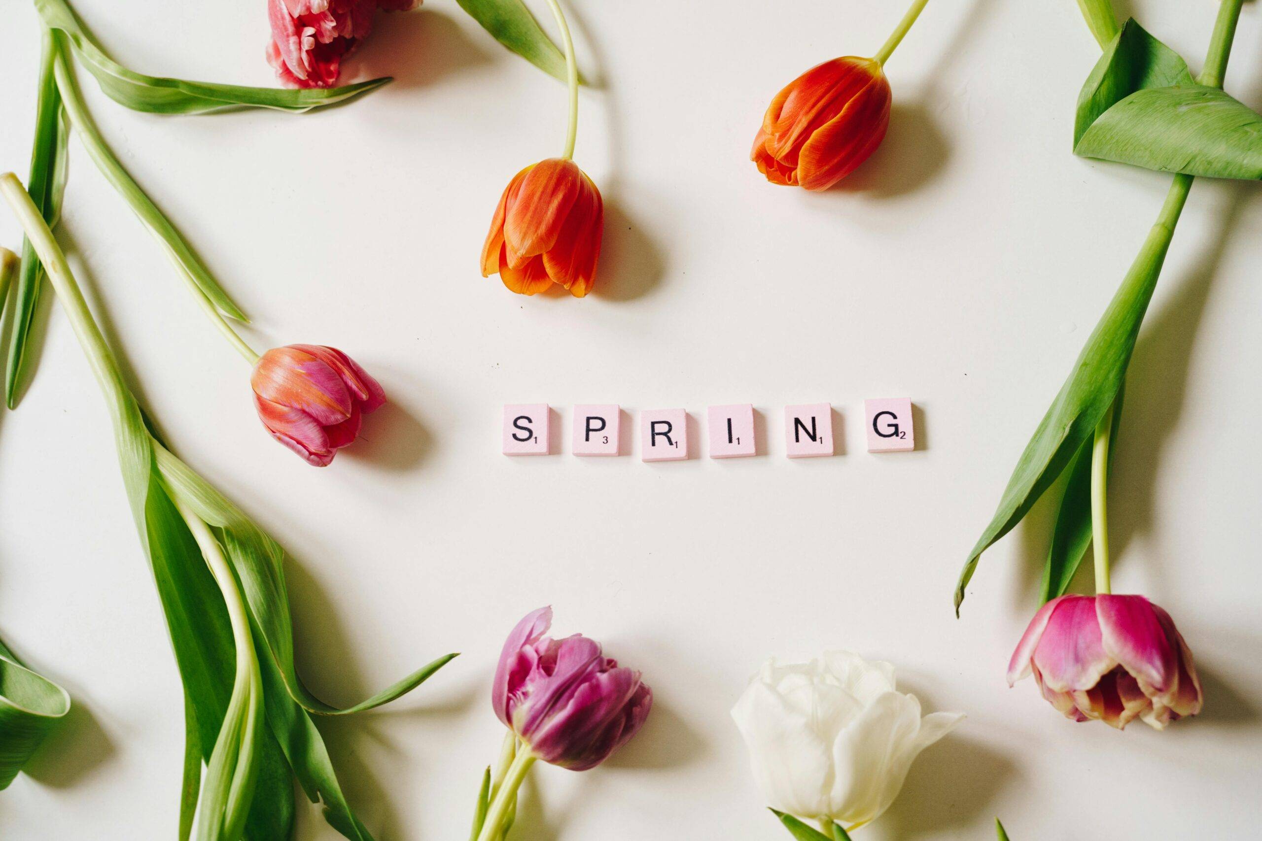 Scrabble tiles besides flowers on a table, spelling spring for the real estate market in orange county