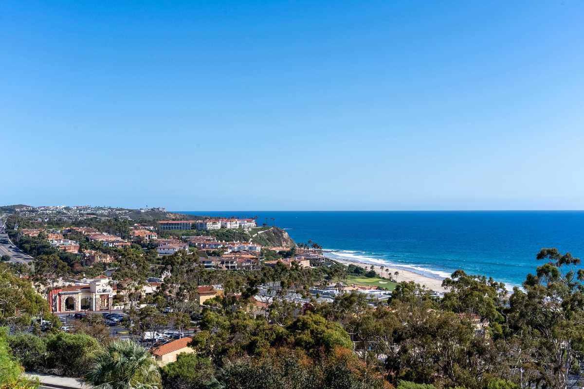 Aerial view of Dana Point neighborhoods and the beach