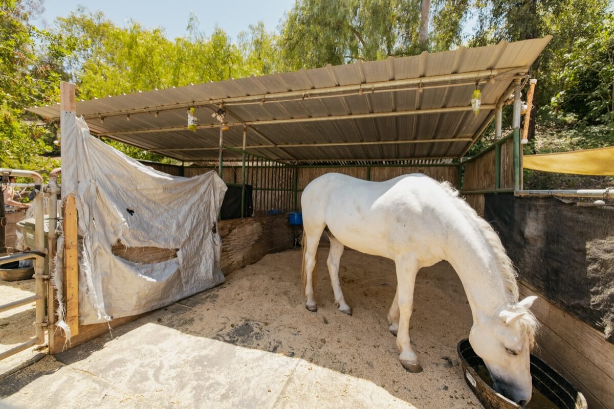 Brad Feldman Group Top Nellie Gail Ranch Realtor 27070 Hidden Trail Rd 22