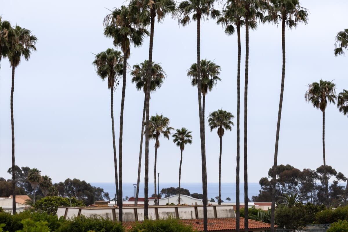 Brad Feldman Group Top San Clemente Realtor 3616 Calle Casino 10